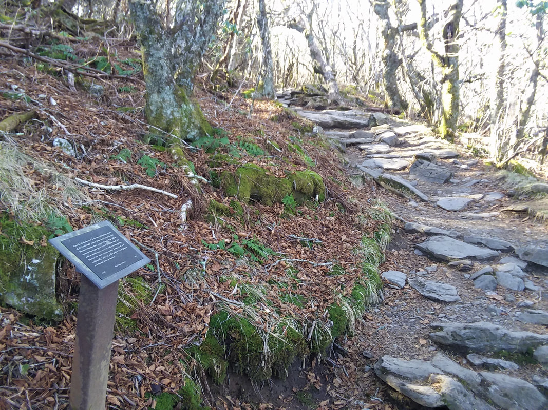 Informative sign post along the trail