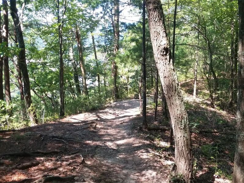 The Appalachian Trail