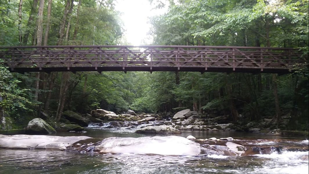 Bridge at Big Creek