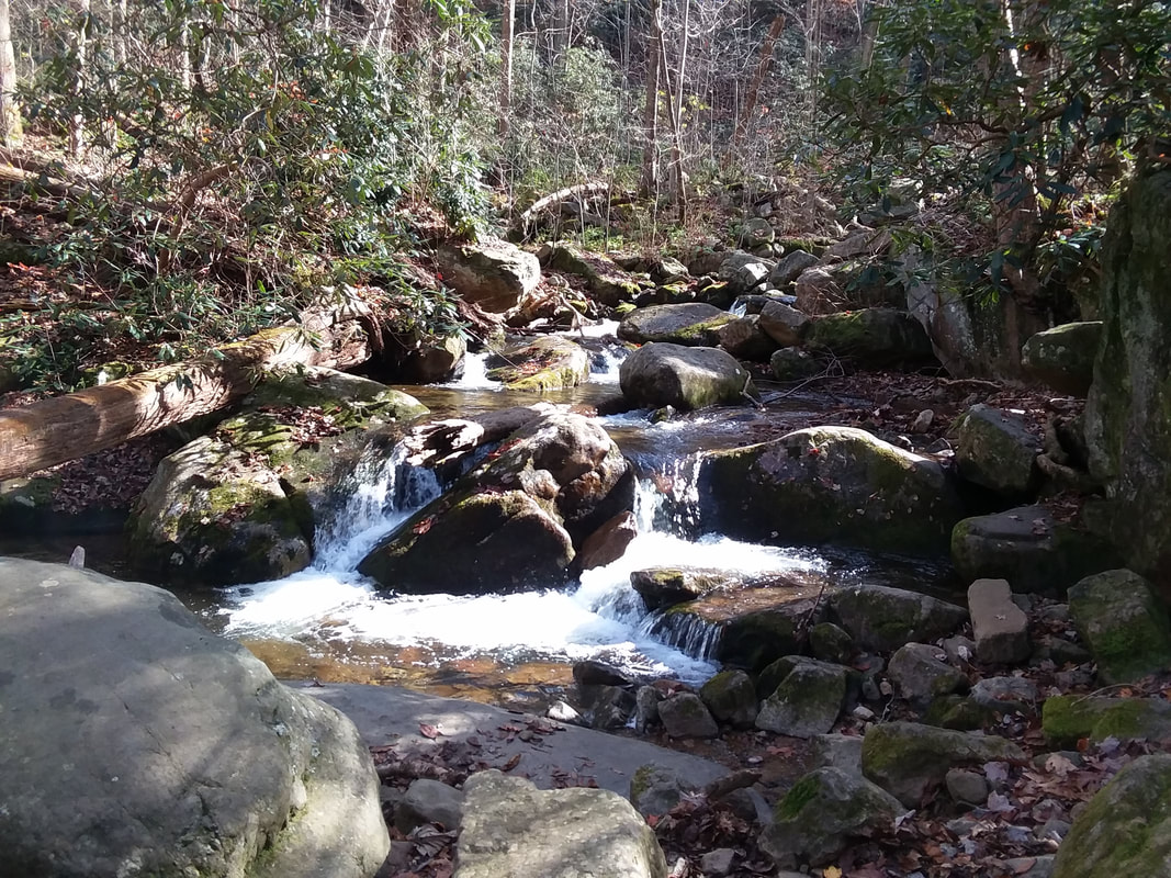 cascading waters of the creek