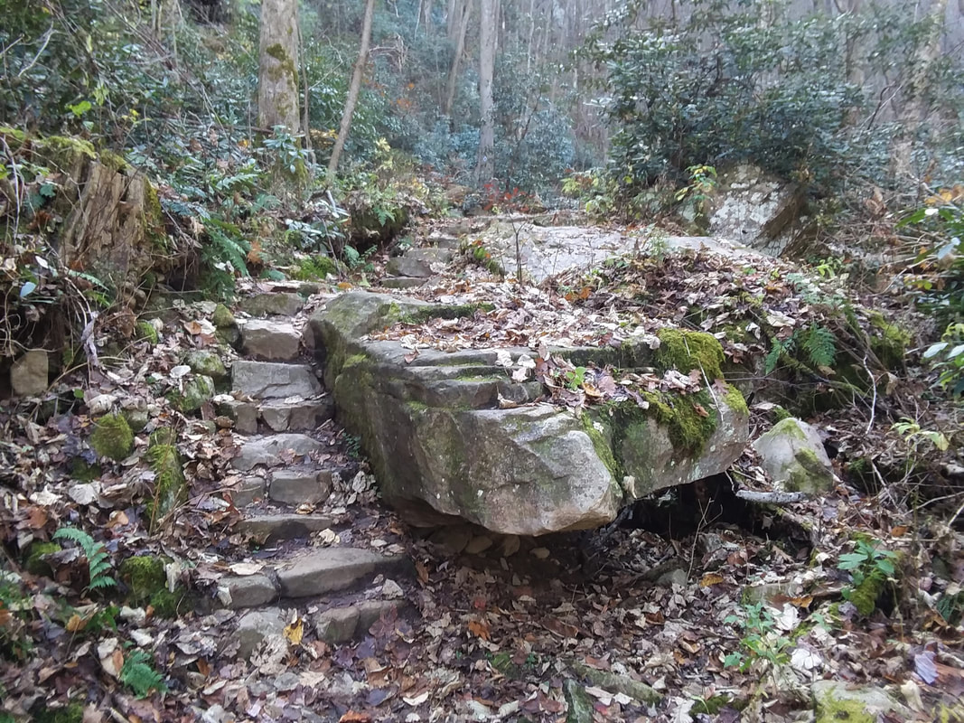 stone steps on the trail