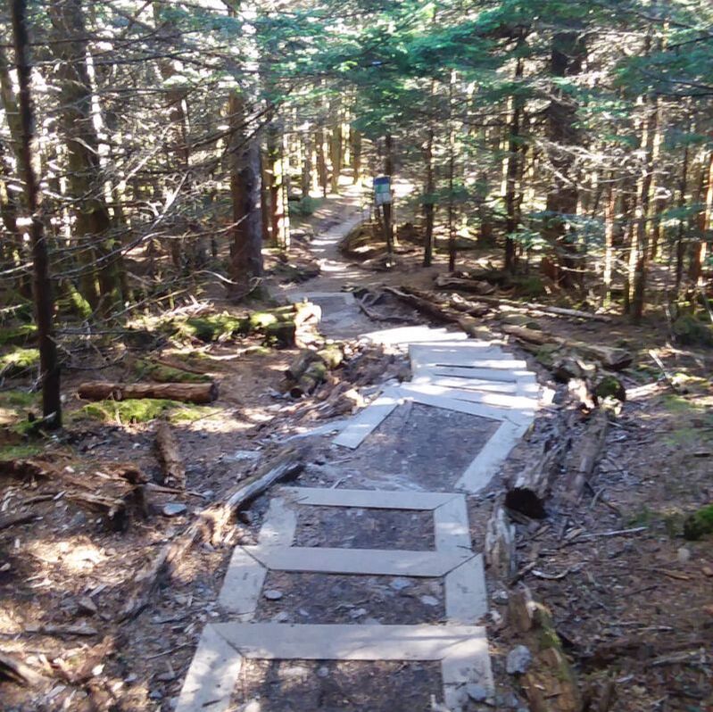 wooden walkway down the Balsam Nature trail