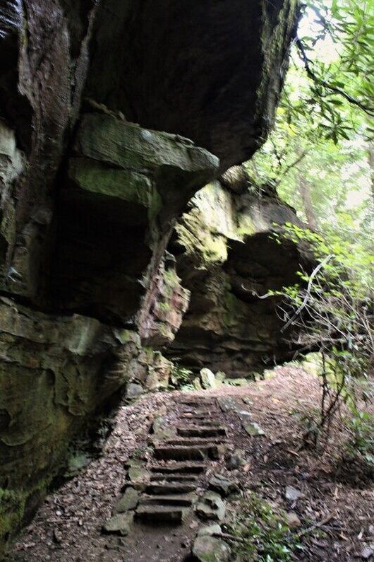 stone steps at rock shelter