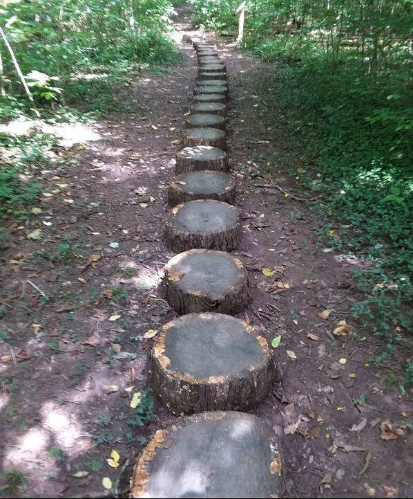 tree stump pathway