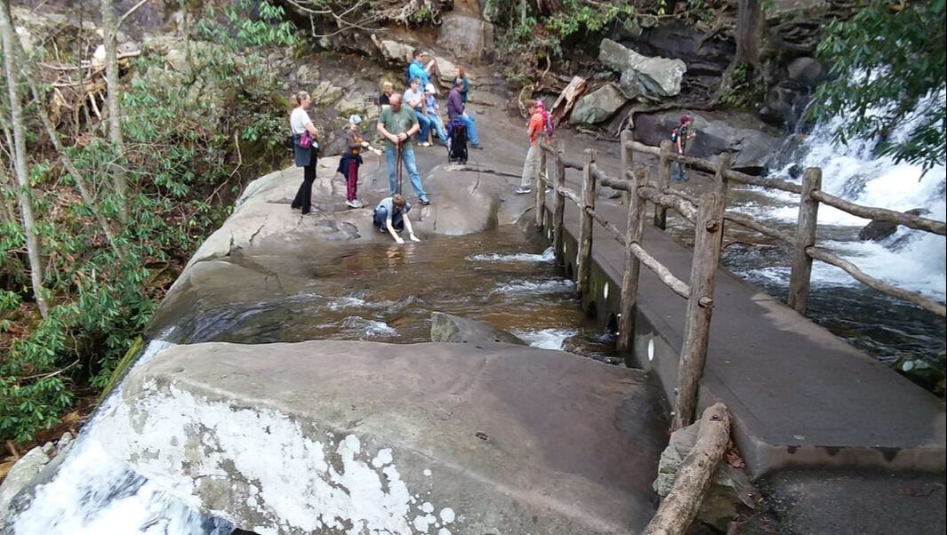 Bridge at Laurel Falls