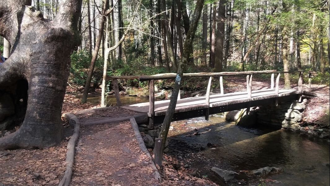 Wooden bridge at Sugarlands