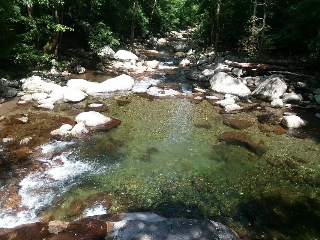 Shallow swimming hole